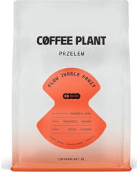 COFFEE PLANT Cafea Boabe Coffee Plant FLOW Jungle Fruit 250 g (0101016860)
