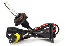 AMiO 01415 Bec xenon H8 H9 H11 6000K (AMI-01415)