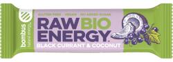 bombus Raw Energy BIO gyümölcsszelet BIO termék íz Black Currant & Coconut 50 g