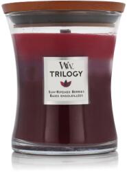 WoodWick Trilogy Warm Woods Lumânări parfumate 275 g typ Sun Ripened Berries