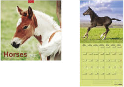 TopTimer Falinaptár 29 x 29 cm Horses 2027 (T980010A)