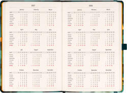 Notique Határidőnapló És Notesz 13x21 cm Cat 2027 (RS5414CA)