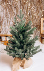 Xmasio Brad Artificial Vienez Full 3D - 55 cm (VE-VIEN-55)