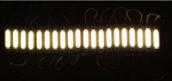 Paradox Since 1992 Module LED COB 5730 alb 12V impermeabile set 20 buc (19-122)