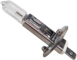 Paradox Since 1992 Bec halogen H1 55W 12V (AD697-bec)