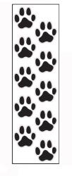Paradox Since 1992 Sticker labute auto 50x16 cm diverse culori decor tuning (ABT-237)