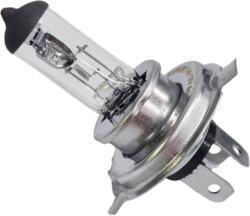 Paradox Since 1992 Bec halogen H4 cu 2 faze 60W 55W 12V CarXpert (1446-bec)