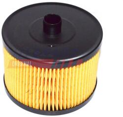 FAST filtru combustibil FAST FT39076 (FT39076)