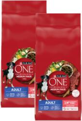 ONE Adult Medium/Maxi beef & rice 2x12 kg