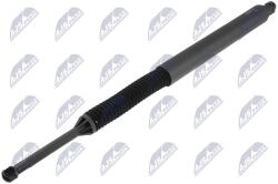 NTY Amortizor portbagaj NTY AE-BM-169 (AE-BM-169)
