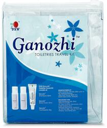 DXN TOILETERIES TRAVEL KIT 1csomag
