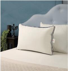 Best Sleep Dreamcore állítható magasságú párna, 50x70x20 cm, Szilikonizált szál memóriahabpehellyel, Cipzáras pamuthuzat, Antiallergén, Közepes keménységű, Bármilyen alvási pozícióhoz ideális