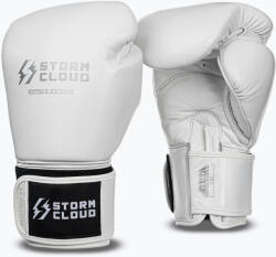StormCloud Mănuși de box StormCloud Muay Thai Blizzard 2.0 white/silver