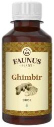 Faunus Plant Sirop Ghimbir, 200 ml, Faunus Plant