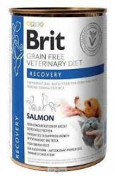Brit Brit GF VD Dog / Cat 400gr Recovery lábadozás