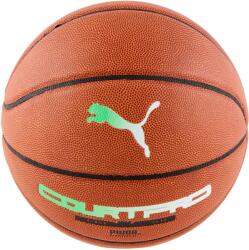 PUMA Teamjaws Court Pro (08468501)