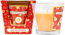 Arôme Lumânare parfumată Winter Berries 120 g