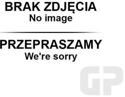  LÁNCFŰRÉSZ LÁNC 1/4 . 043 1 1mm 598 ogniw 25FEET semi chisel EVEREST (26-06071)