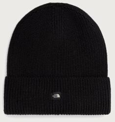 The North Face beanie MINI LOGO 9BY2-CAUZSD_99X (NF0A8HMFJK31)