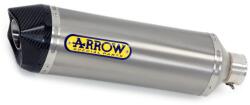 Arrow Exhaust Tobă finală ARROW Race-Tech pentru Kawasaki ZX-10R 2016-2019, Titan (AR-71841PK)