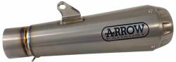 Arrow Exhaust Tobă finală ARROW Pro-Race pentru KTM RC 390 2017-2020, Titan (AR-71159PR)