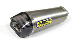 Arrow Exhaust Tobă finală ARROW Race-Tech pentru Aprilia TUONO V4 1100 2015-2018, Titan (AR-71744PK)