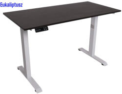  Elektromosan állítható magasságú íróasztal, PREMIUM, 4 memóriás, USB, FEHÉR íróasztal Eukaliptusz színű, 120x70cm méretű asztallappal