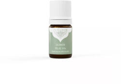 Panarom Jázmin olaj 10% (Jasminum officinalis) - 5 ml - wellnessvital