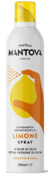 Mantova Citromos extra szűz olívaolaj spray 200ml - wellnessvital