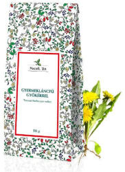 Mecsek Tea Mecsek Gyermekláncfű gyökérrel 50g