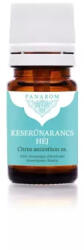 Panarom illóolaj - keserűnarancs héj, 5 ml, (Citrus aurantium ze. ) - wellnessvital