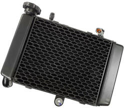 Moretti Radiator VOGE 300R 300DS (CHLVOG006)