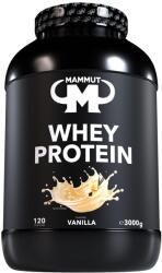 MAMMUT Proteine din zer - Vanilie - 3000 g Doză - FID64127 (FID64127)