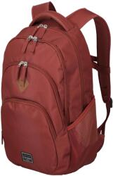 Travelite Rucsac pentru bagaj de mână Travelite Basics, laptop 15, 6", 22 L, 45 cm - 096308-64 (096308-64)