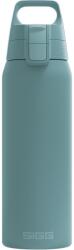 SIGG - Sticlă de băut izolată - Termos Shield Therm One Morning Blue Băuturi carbogazoase - Etanșă - Lavabilă în mașina de spălat vase - Fără BPA - Oțel inoxidabil 90% reciclat - Gri albastru - 0.75L - 602