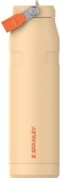 STANLEY 1913 Flip Straw, Sticlă cu pai, 1.06 L - Cană termică, păstrează rece timp de 17 ore - Lichide reci timp de 4 zile - Fără BPA - Etanșă - Pentru suporturi de pahare auto - Lavabilă în mașina de spălat 