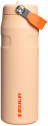 STANLEY 1913 Flip Straw 2.0 Sticlă de Băut cu Pai 0.7L - Cana Termică Răcește Timp de 10 Ore - 3 Zile Gheață Rece - Fără BPA - Etanșă - Pentru Suporturi de Băuturi - Lavabilă în Mașina de Spălat Vase - Orange