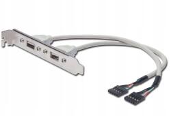 ASSMANN Kábel 2xIDC (5pin)/2xUSB A M/z szürke 0, 25m Usb 2.0 HighSpeed (AK-300301-002-E)
