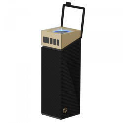 BUGANi Brief TT Black/Gold
