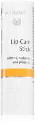 Dr. Hauschka Eye And Lip Care Lip Care Stick balsam de buze hranitor 4.9 g