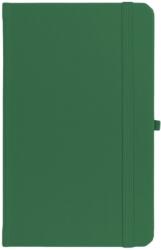 EGO Agenda Notebook Pro 16 cm, nedatata, Ego verde EGONP16VO12