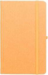 EGO Agenda Notebook Pro 16 cm, nedatata, Ego portocaliu EGONP16BRS7