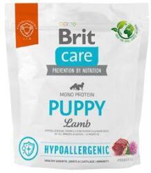 Brit Dog Hypoallergén kölyökkutya 1kg