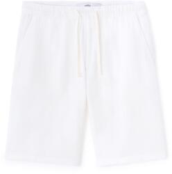 CELIO MOGAZBM S