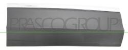 PRASCO Elemente decorative/protectie, portiera PRASCO VG8101463 (VG8101463)