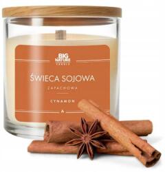  Szójaviasz Gyertya Fahéj 215g (5905745620177)