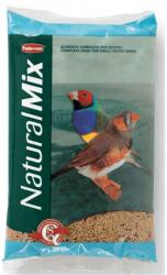 Padovan Naturalmix Furaj Pasari Exotice Mici 1kg