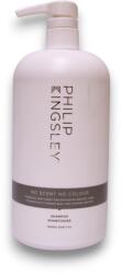 Philip Kingsley illatmentes sampon, 1000 ml