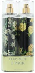 Elle Inspiring + Confident Scented Spray 2x236 ml