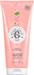 Roger&Gallet Feuille De Figuier tusfürdő 200 ml